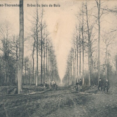 Thorembais-Saint-Trond - Drève Bois de Buis (chaussée de Charleroi)- Avant la Première Guerre mondiale